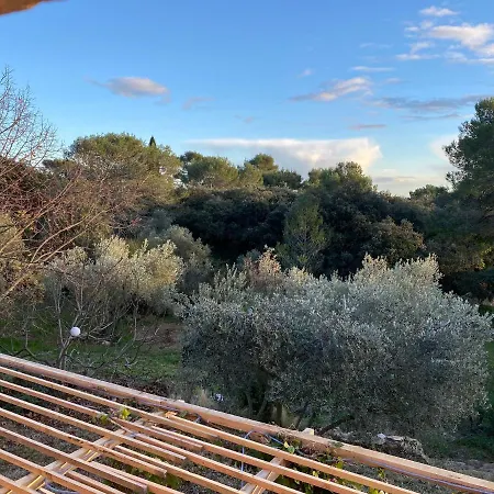 Dom wakacyjny Mazet Nîmes